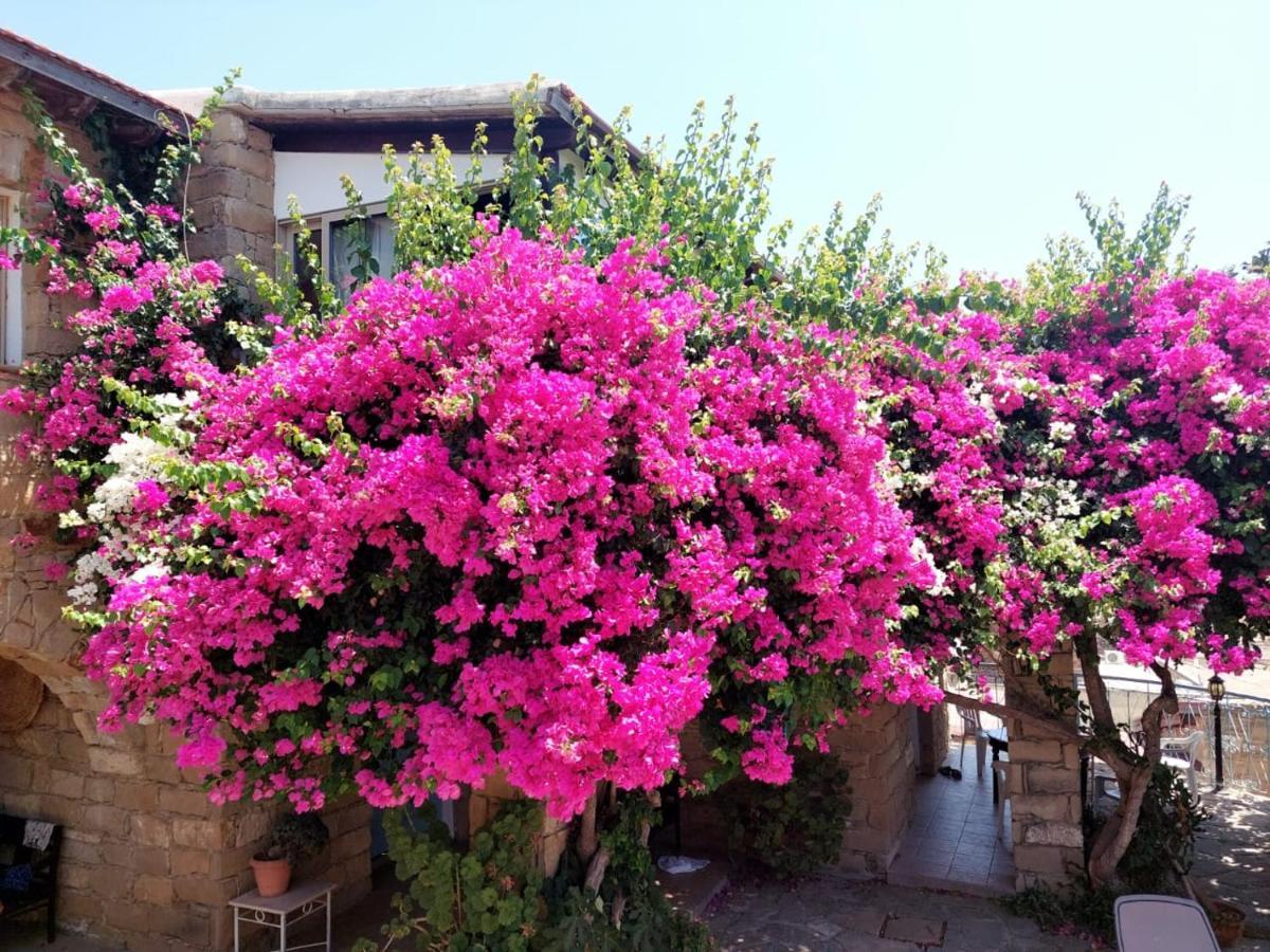 Cyprus Villages - Bed & Breakfast - With Access To Pool And Stunning View Tochni Exterior foto